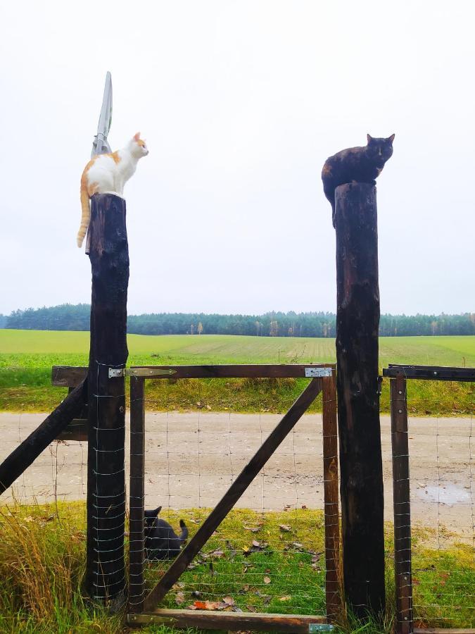 Leśna Kryjówka Trzebciny Exterior foto