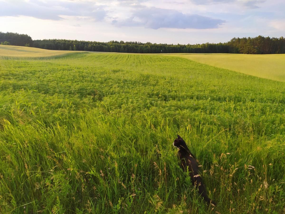Leśna Kryjówka Trzebciny Exterior foto