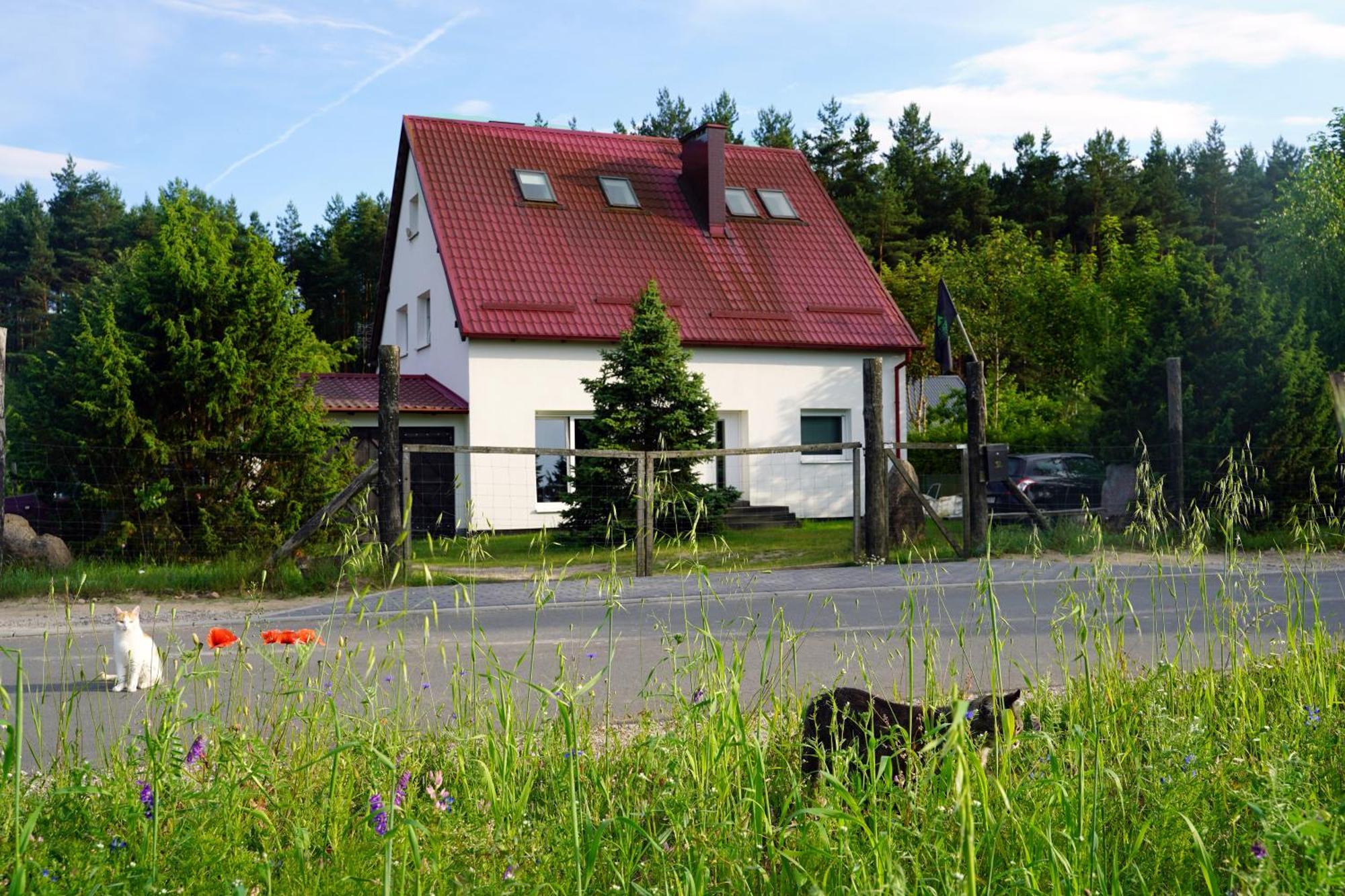 Leśna Kryjówka Trzebciny Exterior foto